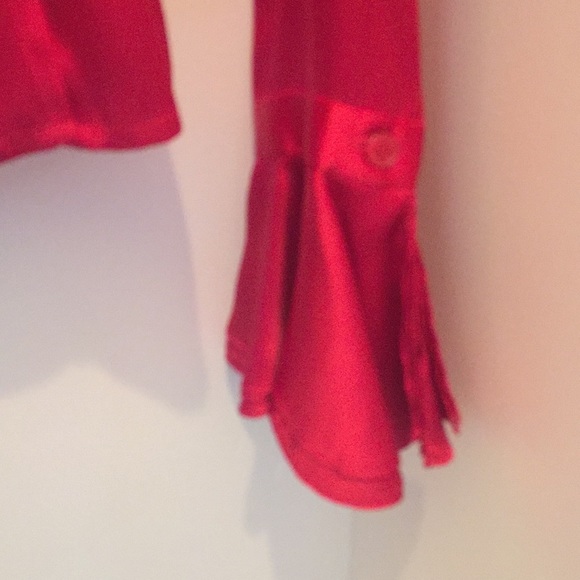 COPY - NWT Saks silk top with ruffled collar/sleeves. - Picture 3 of 5